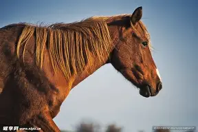 Kaiyun体育赛事直播-韩子龙吊射破门